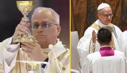 Cathedral Shock: Worshippers Stunned by Tiny Tiger Embroidered on Pope Leo’s Robe
