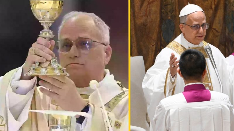 Cathedral Shock: Worshippers Stunned by Tiny Tiger Embroidered on Pope Leo’s Robe