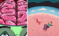 Terrifying Animation Reveals How Your Brain Decays with Age and Reacts to Negativity