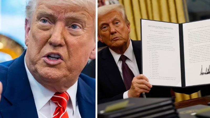 Trump signs explosive order banning entry from 12 countries, sparking global outrage and mass protests