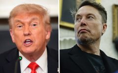 Donald Trump drops brutal five-word response amid Elon Musk feud: ‘I don’t respect him anymore’