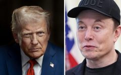 Top Legal Scholar Breaks Down Elon Musk’s Impeachment Plea for Trump—Here’s What the Constitution Really Says