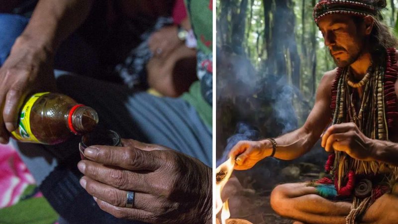 Grisly Tragedy: American Tourist Dies After Drinking Ayahuasca in Peru—Ritual’s Hidden Perils Exposed