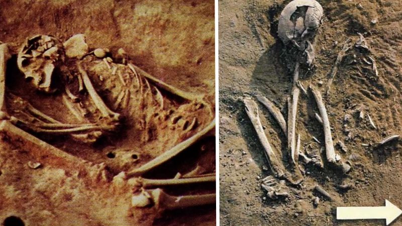 6,000-Year-Old Skeletons with Unexplained DNA Could Upend What We Know About Early Civilization