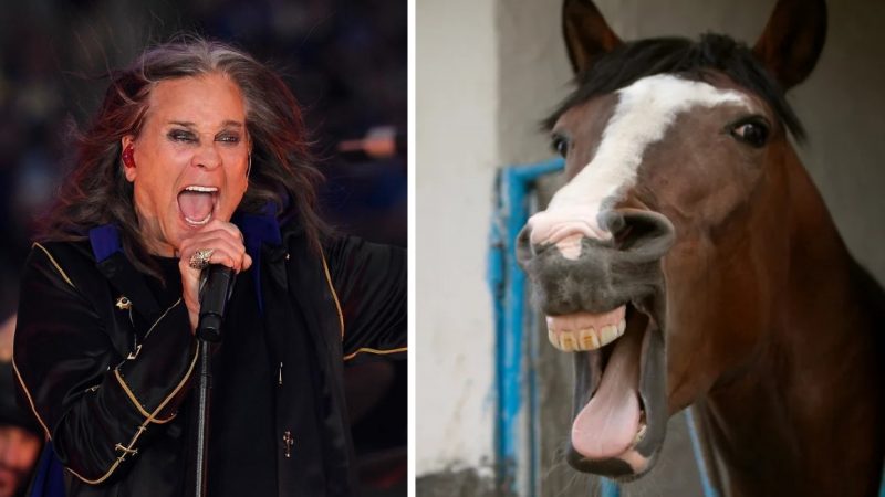 Ozzy Osbourne Explained How a Horse Made Him Give Up LSD Before His Death Aged 76