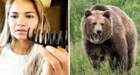 Woman Explains How $3 Hair Accessory Saved Her Life While Her Head Was in Grizzly Bear’s Mouth