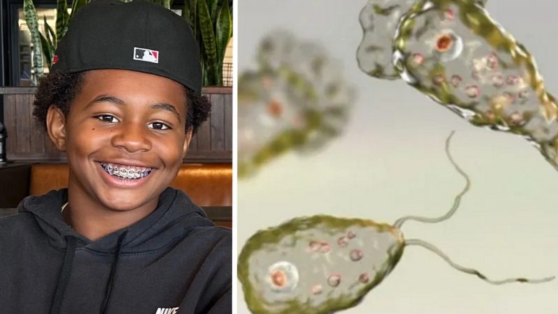 12‑Year‑Old Boy Dies After Contracting Brain‑Eating Amoeba at Popular Swimming Spot