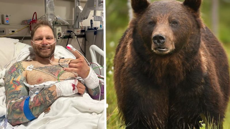 Bear Attack Survivor Recorded Chilling Final Message to Loved Ones After His Body Was ‘Ravaged’