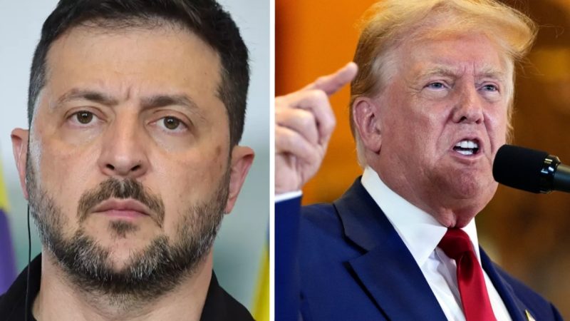 Zelenskyy Issues Awkward Response After Trump Publicly Claimed He Could End the War ‘Almost Immediately’