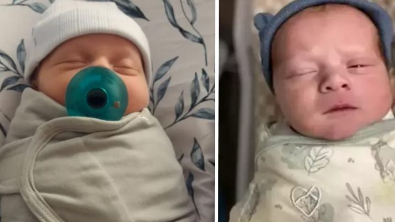 World’s “Oldest Baby” Born from 30-Year-Old Frozen Embryo in Ohio Record Breaker