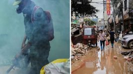 Expert Warns on Pandemic Risk as China Revives COVID-Style Restrictions After 7,000 Chikungunya Cases