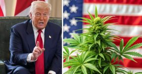 Trump’s Push to Rewrite Marijuana Laws Could Transform the U.S. — But Not Everyone Is on Board