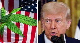 Minute-by-Minute: What Marijuana Does to Your Body as Trump Prepares Major Shift in U.S. Laws