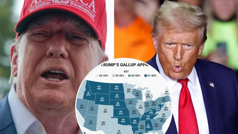Eye-Opening Trump Approval Ratings Reveal What Every State Really Thinks of Him Just 8 Months Into His Presidency