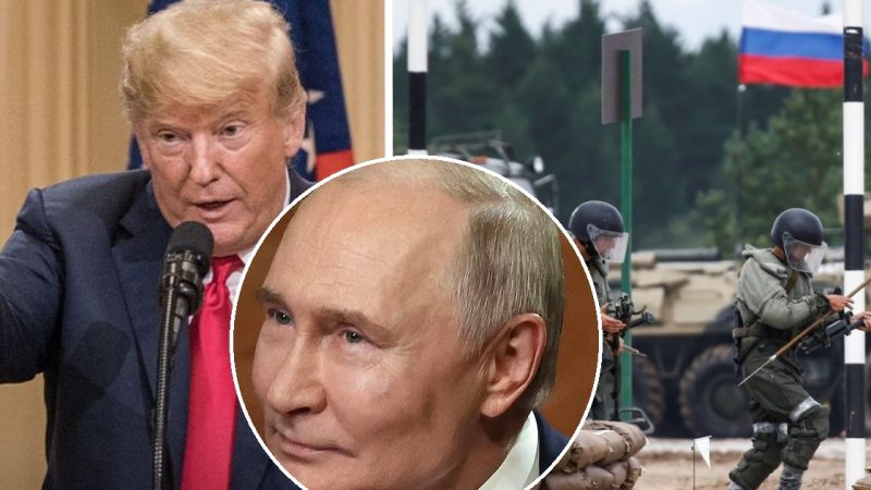 Trump Issues Terrifying Warning After Russian Warplanes Violate NATO Airspace, Escalating Fears of World War III