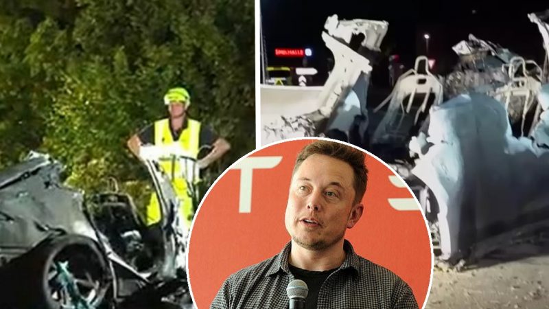 Police Say Tesla Driver and Two Children Burned Alive After Rescuers Failed to Open Electronic Doors