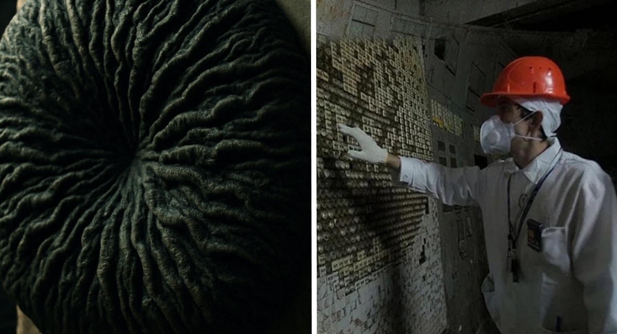 Scientists Stunned as Fungus Found Growing on Chernobyl’s Walls Mutates to Feed on Nuclear Radiation