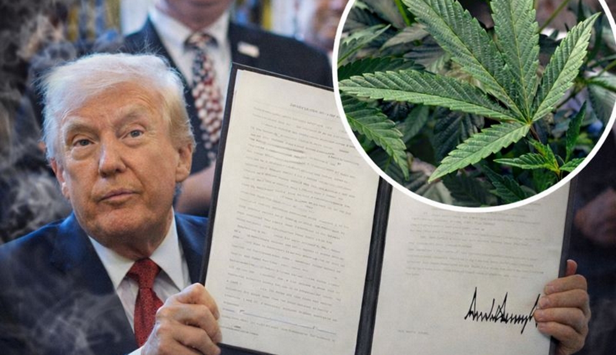Trump Signals Major Marijuana Shift, Sending Shockwaves Through Conservatives and Reform Advocates Alike