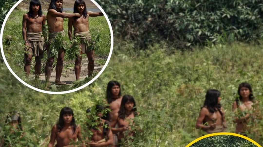 Rare Footage of an Uncontacted Amazon Tribe Sparks Alarm as Viewers Spot Unsettling Details